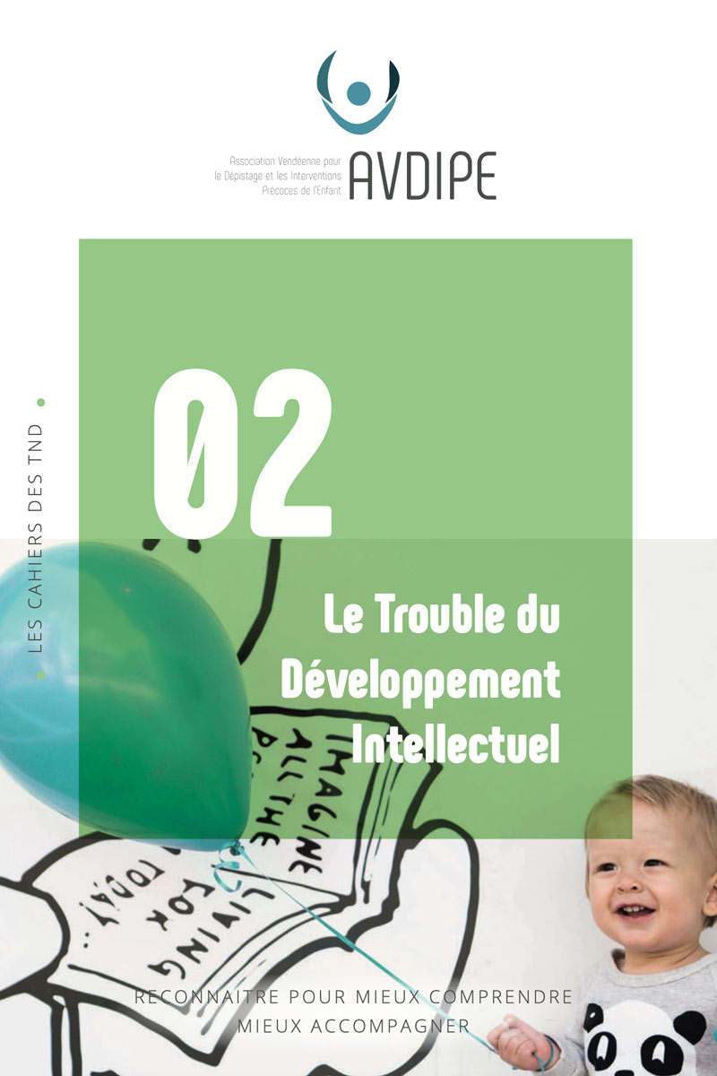 Flyer TDI